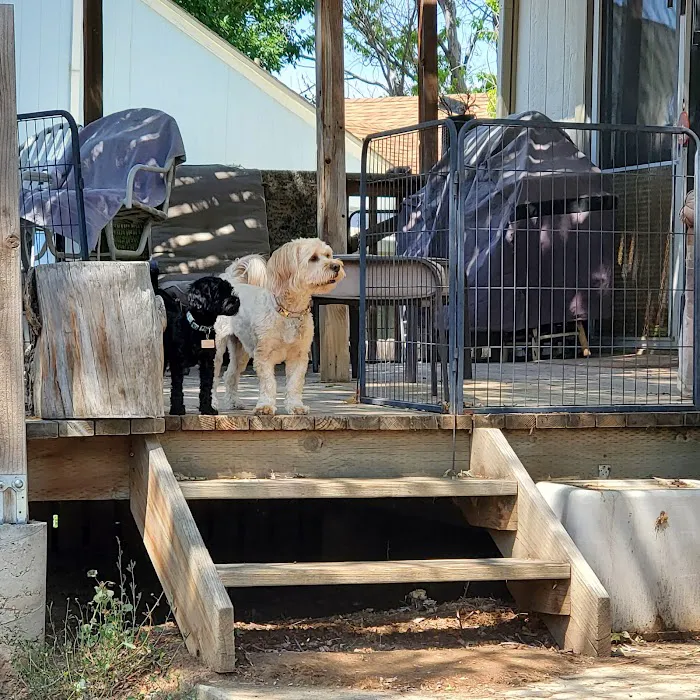 Belcaro Animal Hospital 5