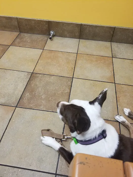 Banfield Pet Hospital 12