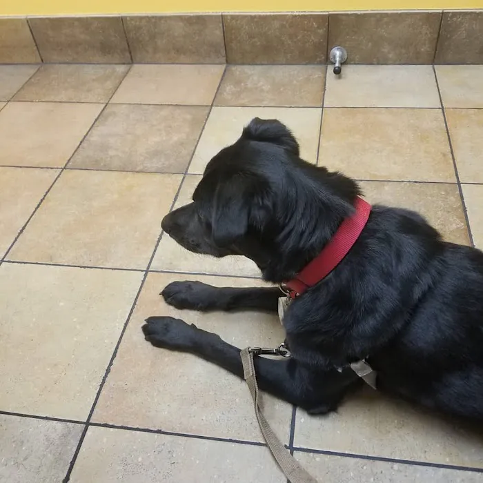 Banfield Pet Hospital 12