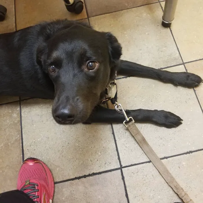 Banfield Pet Hospital 12