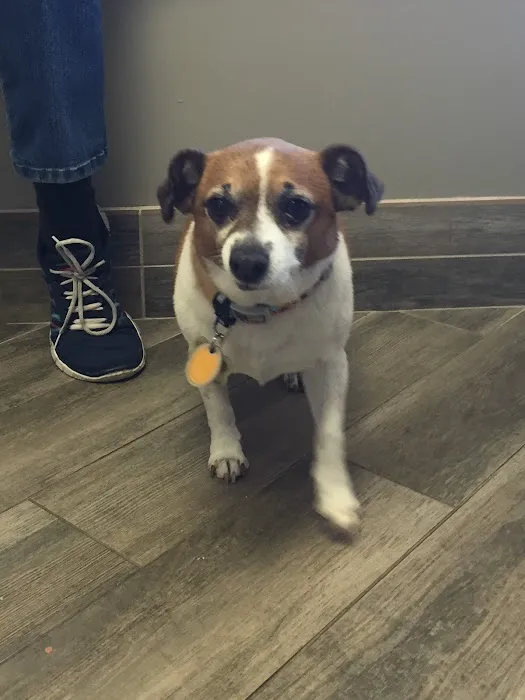 Woodlawn Veterinary Hospital 12