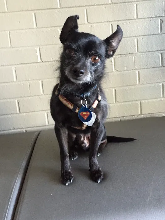 Woodlawn Veterinary Hospital 12