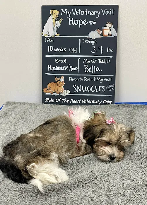 State Of The Heart Veterinary Care 12