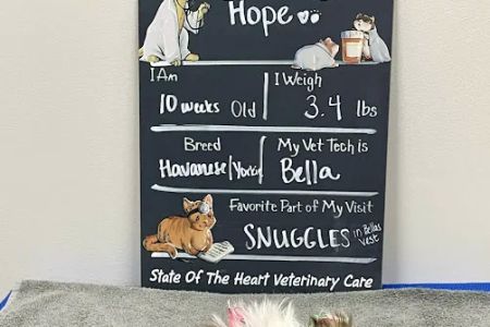 State Of The Heart Veterinary Care