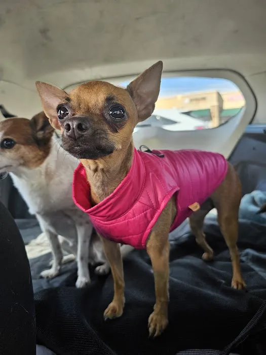 Chatfield Veterinary Hospital 4