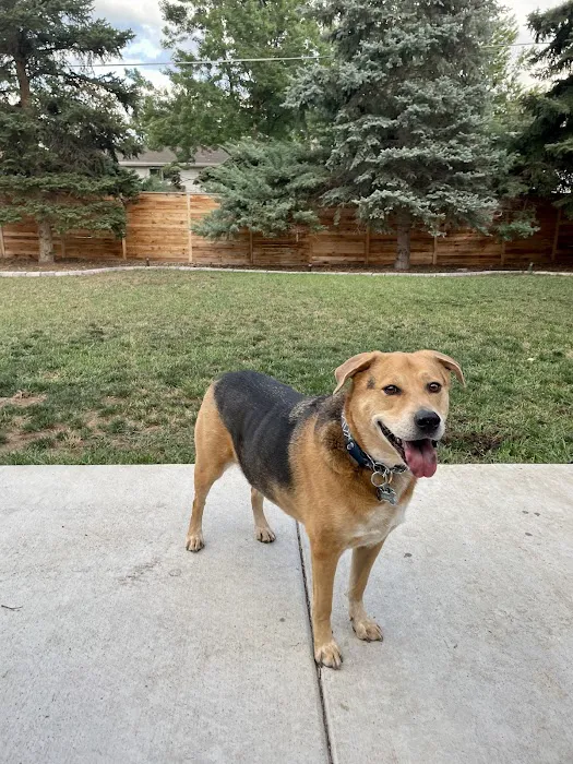 Chatfield Veterinary Hospital 9