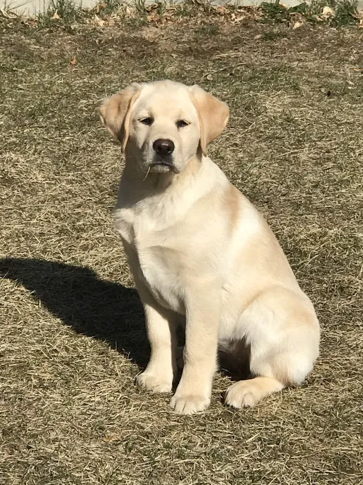 Chatfield Veterinary Hospital 7