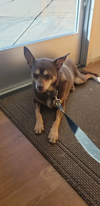 Littleton West Animal Hospital 10