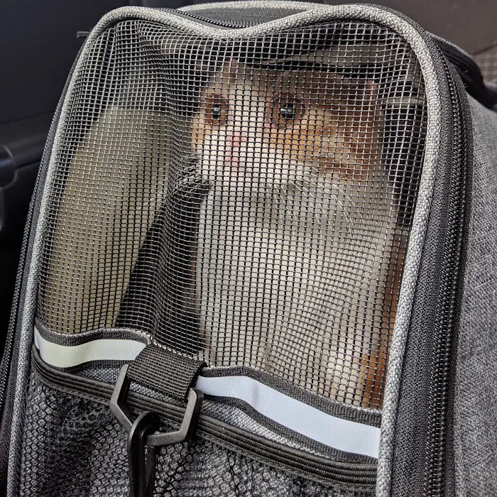 Littleton West Animal Hospital 9