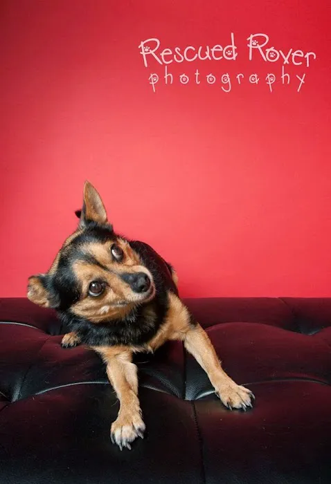 Redstone Animal Hospital 6