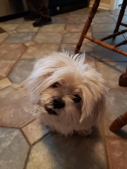 Littleton Paws Animal Hospital 12