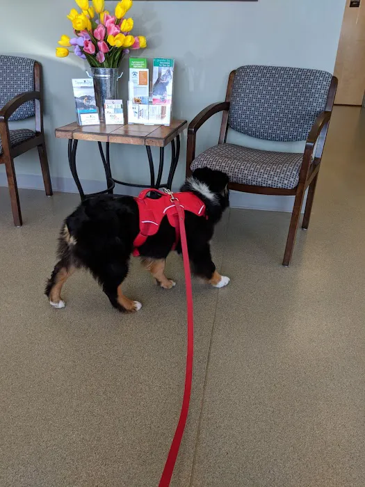 Littleton Paws Animal Hospital 12