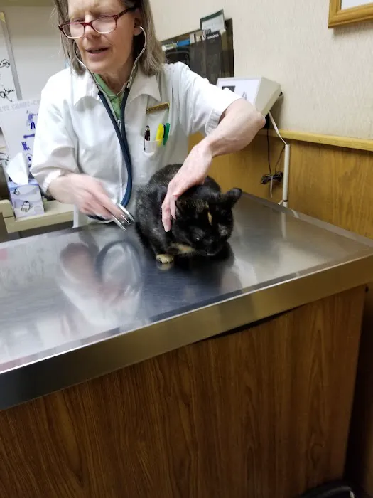 Alpine Animal Hospital SW 4
