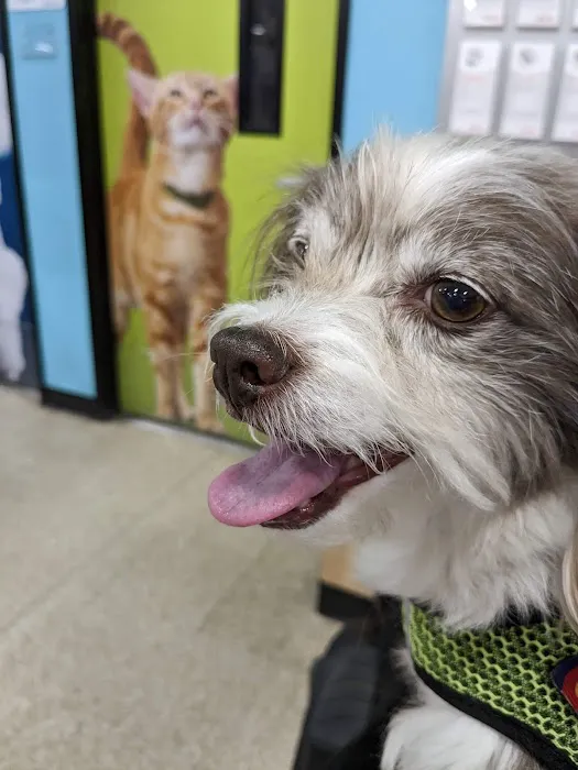 Banfield Pet Hospital 2