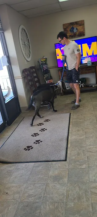 Neighborhood Pet Clinic 2