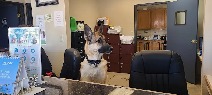Neighborhood Pet Clinic 5