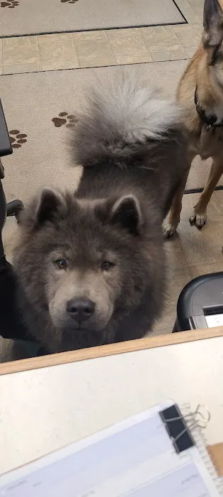 Neighborhood Pet Clinic 7