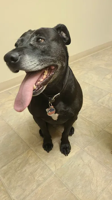 Neighborhood Pet Clinic 9