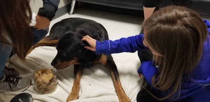 Broadview Animal Clinic 8
