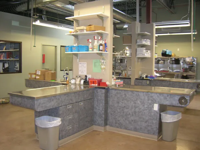 VCA Park Hill Animal Hospital 2