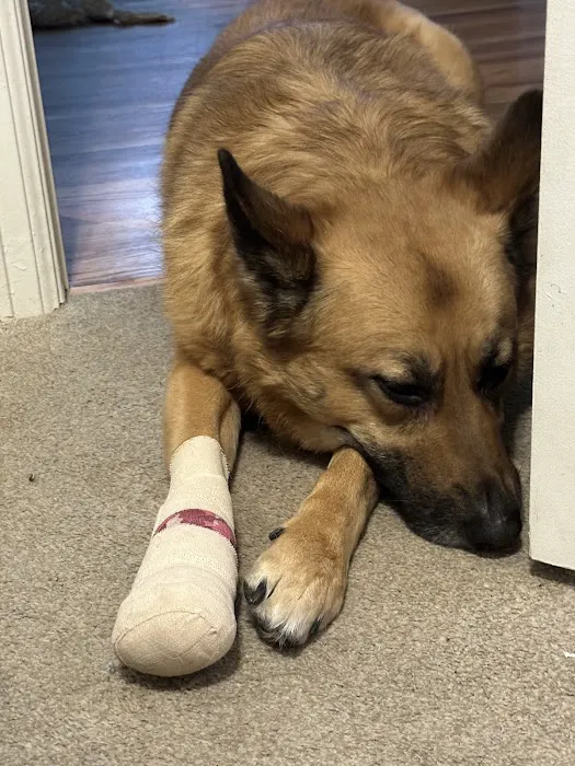 VCA Park Hill Animal Hospital 6