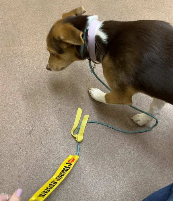 VCA Central Park Animal Hospital 10