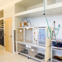 Seven Hills Veterinary Hospital ico