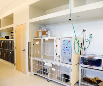 Seven Hills Veterinary Hospital