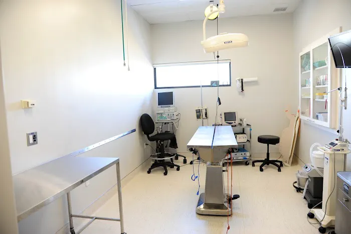 Seven Hills Veterinary Hospital 12