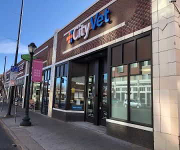 CityVet | Capitol Hill + Urgent Care