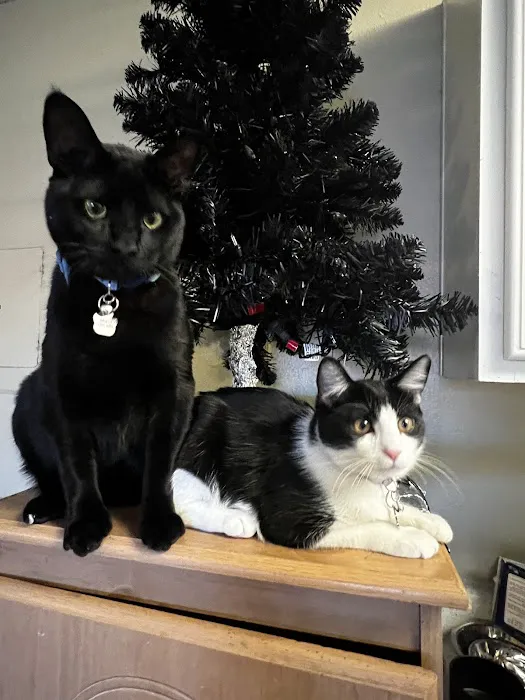Montclair Animal Clinic 1
