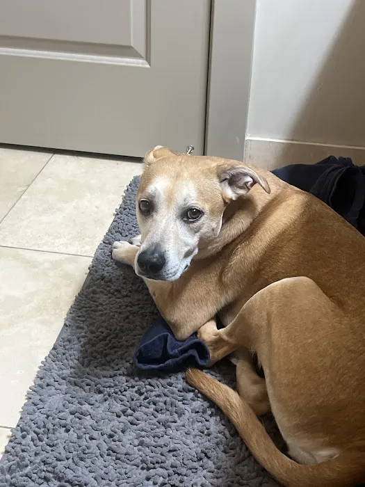 Montclair Animal Clinic 5