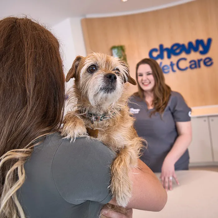 Chewy Vet Care 9+Co 1