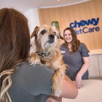Chewy Vet Care 9+Co ico