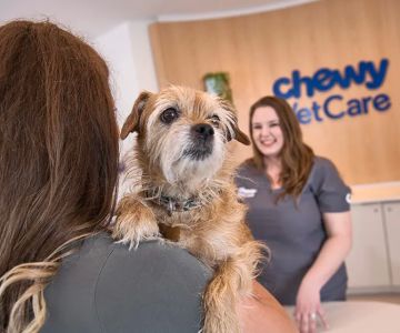 Chewy Vet Care 9+Co