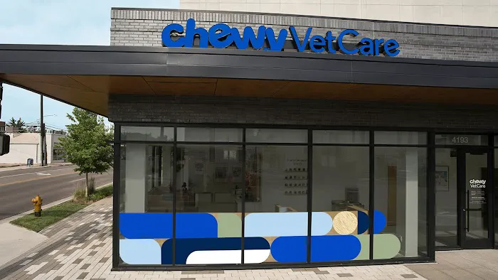 Chewy Vet Care 9+Co 2