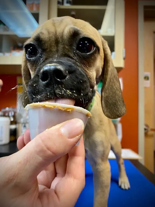 Park Hill Veterinary Medical Center 12