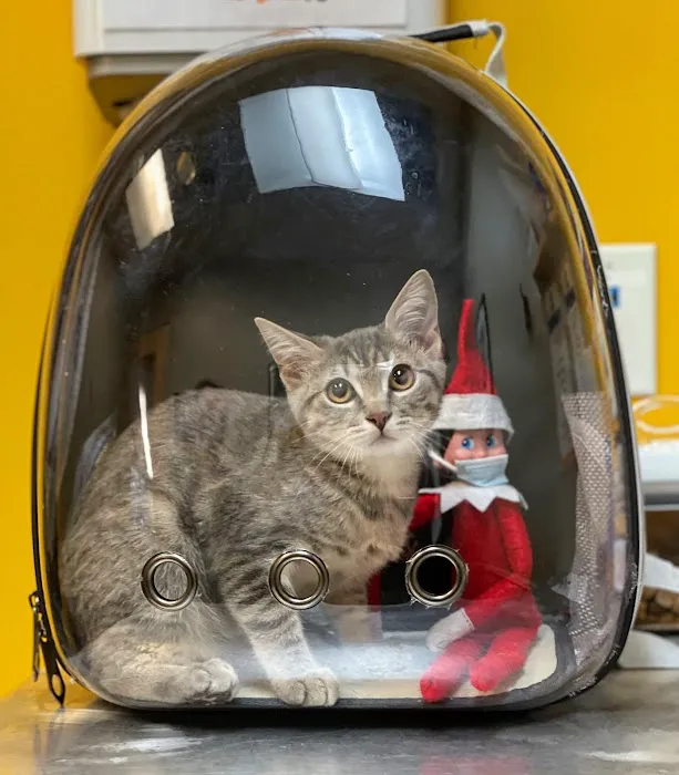 Park Hill Veterinary Medical Center 12