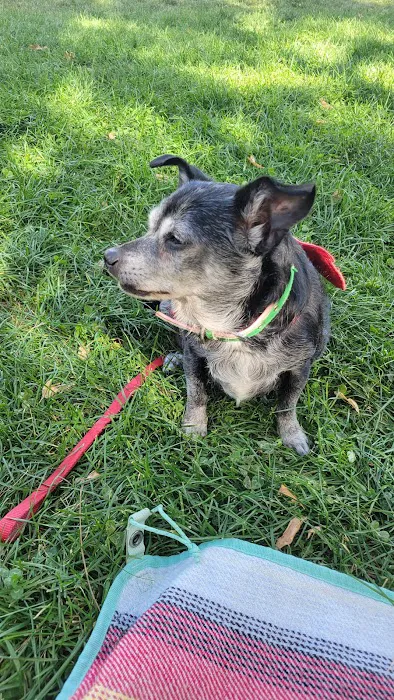 Park Hill Veterinary Medical Center 12