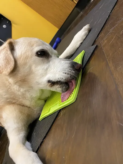 Park Hill Veterinary Medical Center 12
