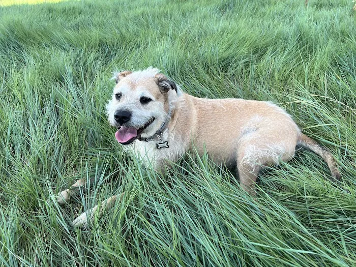 Vetco Total Care Animal Hospital 8