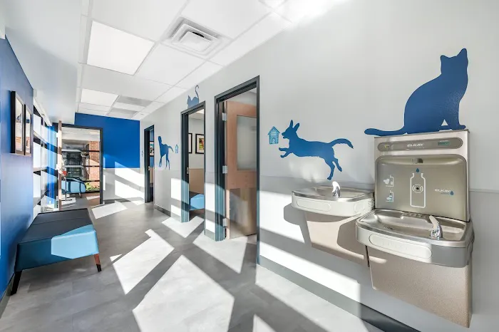 Livewell Animal Hospital of Sloan Lake 8