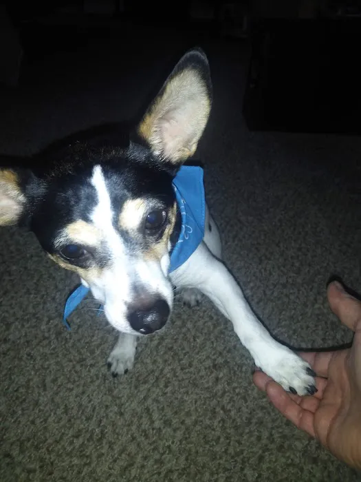 Banfield Pet Hospital 6