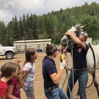 Mobile Veterinary Services ico