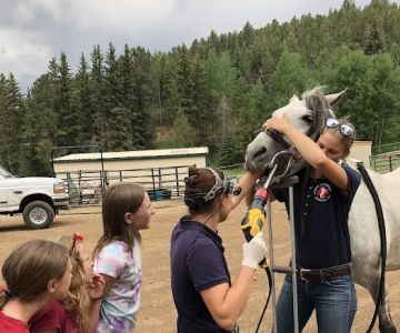 Mobile Veterinary Services