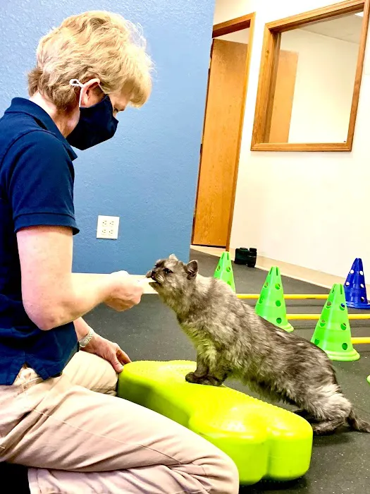 Rocky Mountain Veterinary Rehabilitation 3