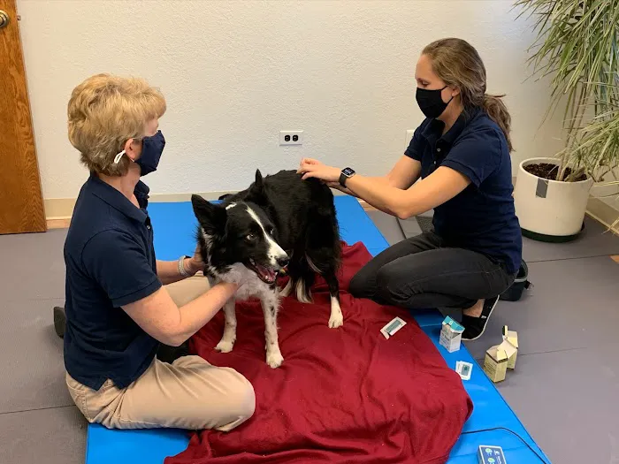 Rocky Mountain Veterinary Rehabilitation 4