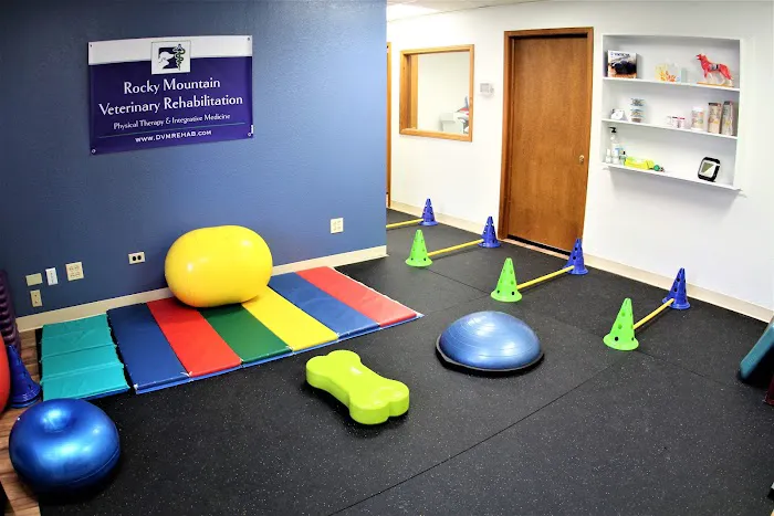 Rocky Mountain Veterinary Rehabilitation 8