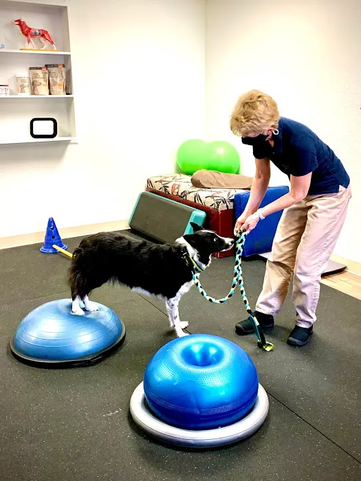 Rocky Mountain Veterinary Rehabilitation 7