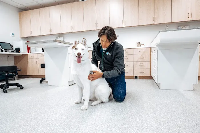 Berkeley Animal Hospital 12